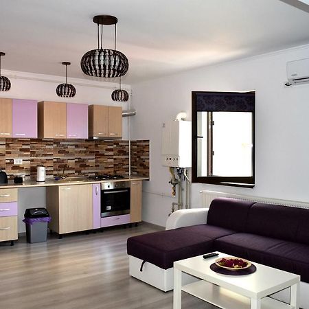Apartament Liliac بوخارست المظهر الخارجي الصورة